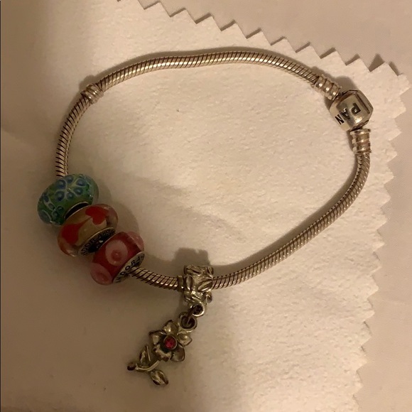 Pandora Bracelets and Charms - Picture 3 of 8